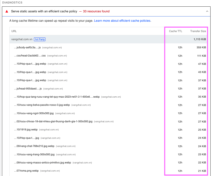 Giao diện kiểm tra website báo lỗi Eliminate render-blocking resources trên PageSpeed