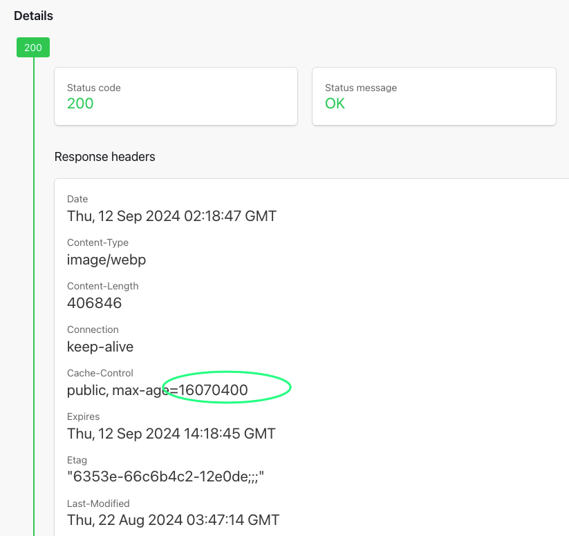 Cách tạo Browser Cache cho website WordPress trên Cloudflare 4 Set cache 6 tháng thành công